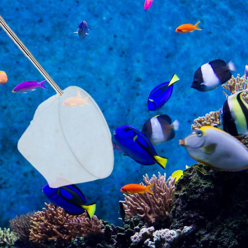 Badu.bg Аквариум с мрежа за риба с регулируема 5-15 инча дълга дръжка ...