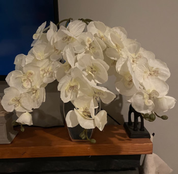 1 τμχ Τεχνητό μεταξωτό λευκό πεταλούδα ορχιδέα λουλούδια σκώρος ψεύτικο λουλούδι για γαμήλιο πάρτι Διακόσμηση φεστιβάλ σπιτιού