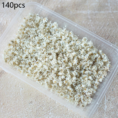 140/280 buc Flori Little Star Cap de floare DIY Artizanat Rășină epoxidică Lumânări Lumânări Bijuterii Home Party Decor Presă Flori