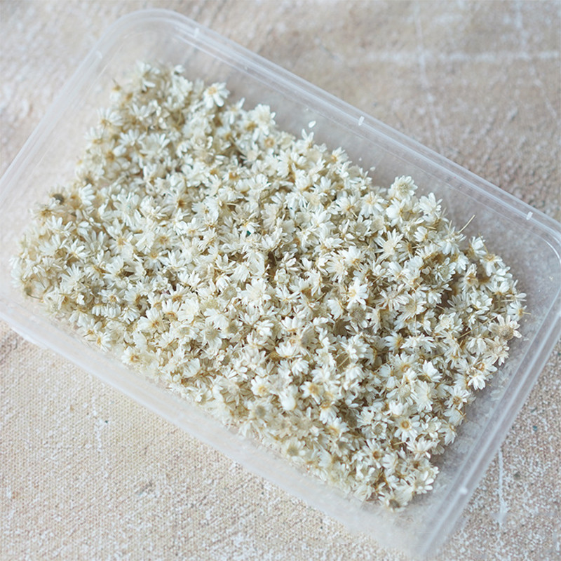 140/280 buc Flori Little Star Cap de floare DIY Artizanat Rășină epoxidică Lumânări Lumânări Bijuterii Home Party Decor Presă Flori