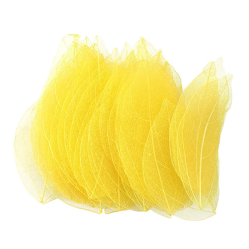 100 gab. Dabīgs Skelets Lapu Vēnās Žāvēti Nagu mākslas darbi Ziedi Grāmatzīmes Aksesuāri ballīšu mājas dekorēšanai DIY Roku darbs Materiāli