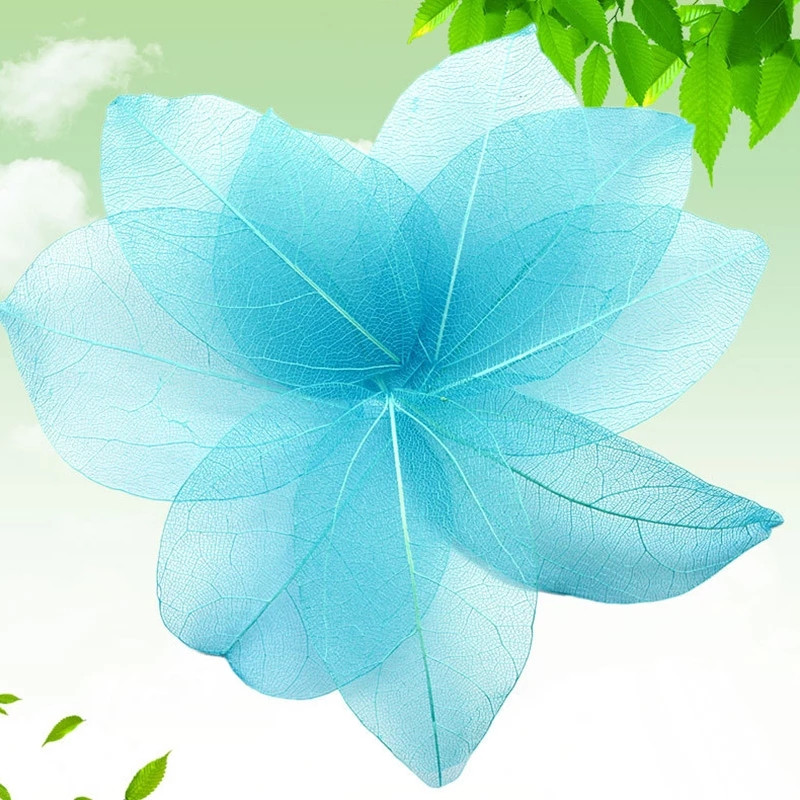 100 gab. Dabīgs Skelets Lapu Vēnās Žāvēti Nagu mākslas darbi Ziedi Grāmatzīmes Aksesuāri ballīšu mājas dekorēšanai DIY Roku darbs Materiāli