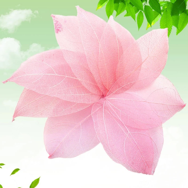 100 gab. Dabīgs Skelets Lapu Vēnās Žāvēti Nagu mākslas darbi Ziedi Grāmatzīmes Aksesuāri ballīšu mājas dekorēšanai DIY Roku darbs Materiāli