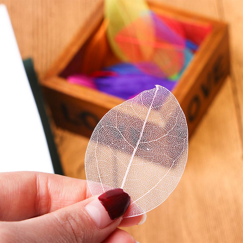 100 gab. Dabīgs Skelets Lapu Vēnās Žāvēti Nagu mākslas darbi Ziedi Grāmatzīmes Aksesuāri ballīšu mājas dekorēšanai DIY Roku darbs Materiāli