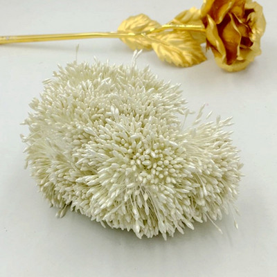 1mm-es porzós 180db/ Random Mixed 2 szín Duplafejű Mesterséges Mini Gyöngy Virág Porzó Bibe Esküvői Dekorációhoz Barkácsolás