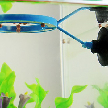 Консумативи за хранене на риби Пластмасов плавателен кръг за аквариум Плаваща хранилка за храна 1 бр. 2 цвята Квадратна/кръгла пръстена за хранене