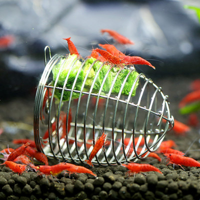 4cm Stainless Steel Aquarium Shrimp Small Bait Cage Feeder Dry Spinach Feeding Cage Basket Ornamental Shrimp Feeding Tool