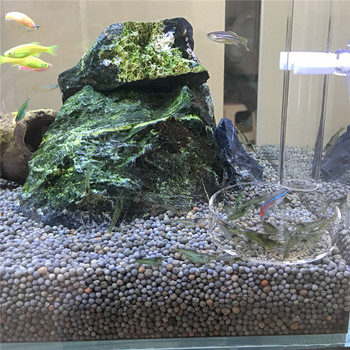 Σωληνάριο γαρίδας Ενυδρείο Clear Glass Fish Food Feeder for Aquarium Fish Tank Fish Food Feeding Tube με 2 τμχ βεντούζες