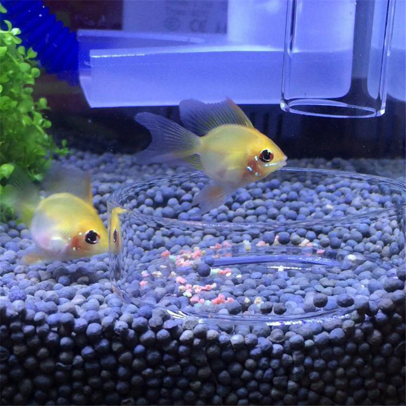 Тръба за хранене на скариди Аквариум Прозрачна стъклена хранилка за храна за рибки за аквариумни рибки Тръба за хранене на рибки с 2 бр. вендузи