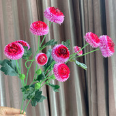 5 Fej/ág Gyönyörű tavaszi százszorszép virág Esküvői fotó stúdió fotózás kellékek nappali dekoráció flores mesterséges