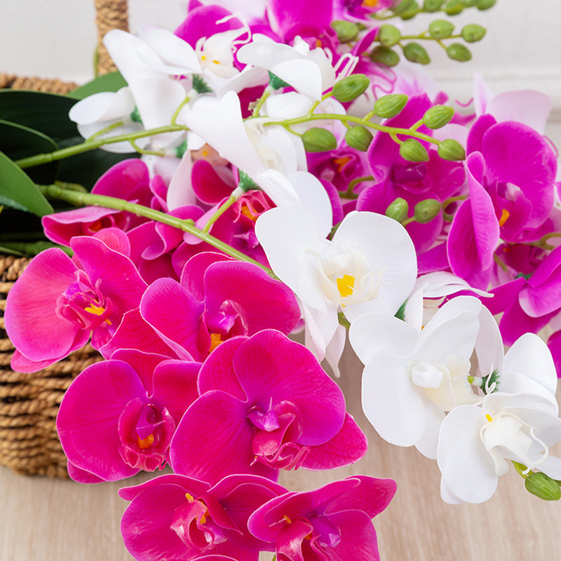 Latex valódi érintés mesterséges phalaenopsis virág fehér pillangó orchidea hamis virág otthoni partira esküvői barkács dekoráció Flores