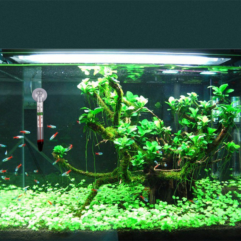 Stikla mērītājs akvārija zivju tvertnes stikla ūdens temperatūras termometrs ar jauku piesūcekni 1 gab.