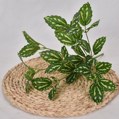 Esküvői folyosó székdíszek templomi pad pad masni a ceremónia partira Fehér baba lehelet eukaliptusz olajbogyó levelek virágok