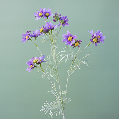 Luksusa Cosmos Gesang garais zars balts mākslīgā zīda ziedi mājas galda istabas dekors ballītes kāzu dekorācijas flores