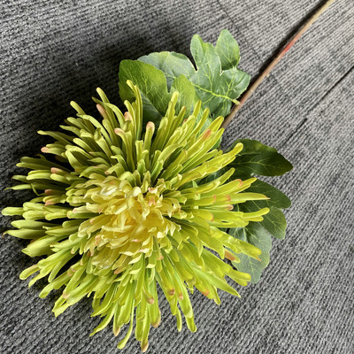 73 cm-es egyágú sárkánykarom krizantém mesterséges selyem virágok lakberendezéshez esküvői virágkötészeti anyagok