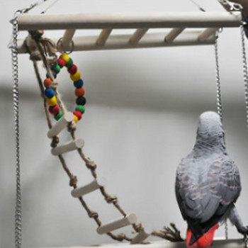 Small Parrot Rat Toy Bridge Ladder Hamster Bird Cage Accessories gass