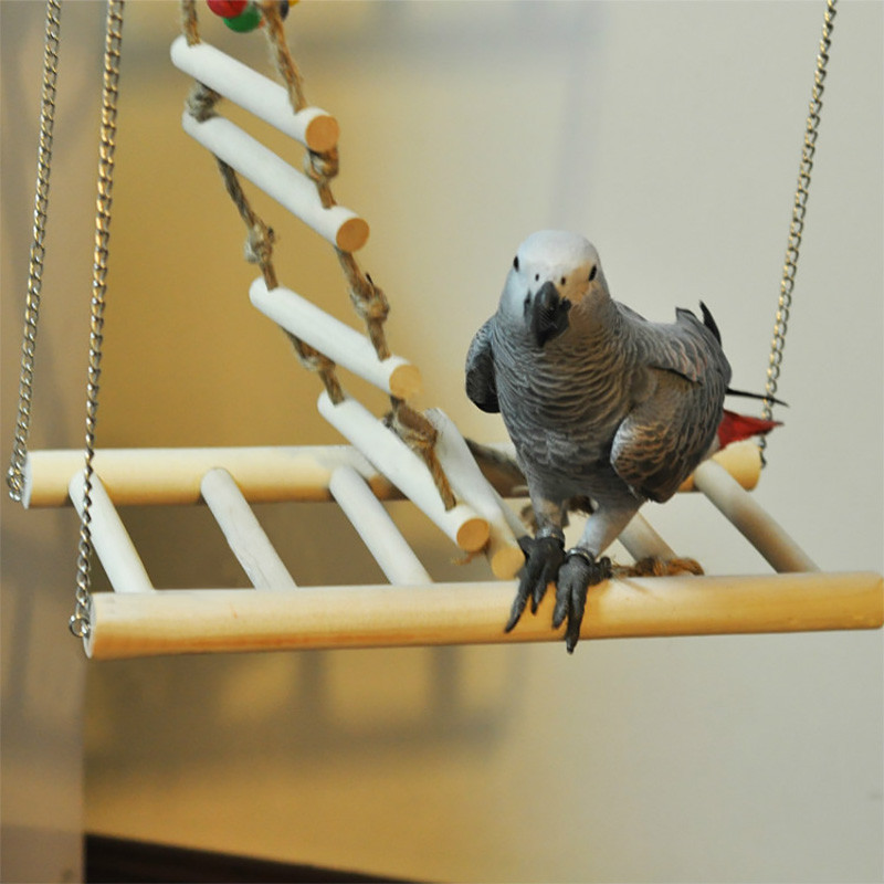 Mazo papagaiļu žurku rotaļlietu tilta kāpnes Kāmja putnu būris Aksesuāri gāze