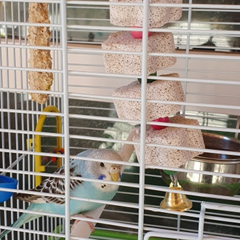 Ορυκτό για Parrot Pet Supplies Bird Cage Toy Grinding Stone Flower Shape Hang Style Parakeet Toy Parrot Accessories