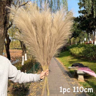 70-120 cm kunstlik pampa muru oks võltspudru võltsitud taime lilled pilliroo pantas pulmapidu kodukaunistus DIY kimp