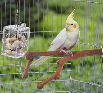 Parrot Bird Standing Stick Grape Stack Stack Wood Pole Bird Cockatiel Parakeet Perches Bite Claw Grinding Toy Bird Cage Accessories