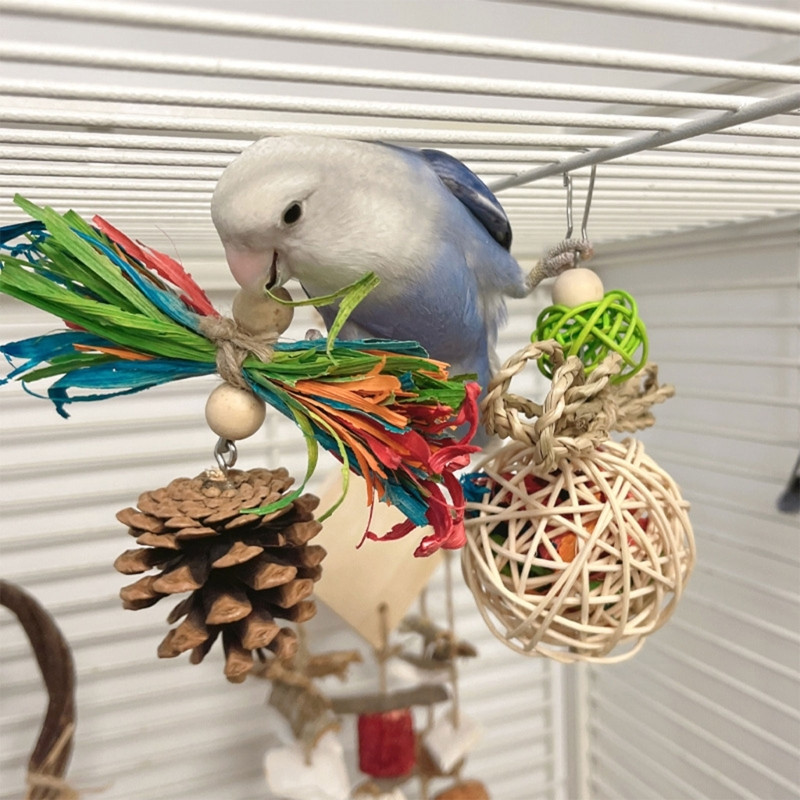 Putnu papagaiļu rotaļlietu būris piekarināmās bumbiņas šūpoles rotaļlieta mājdzīvnieks putns košļājamā koka putnu smalcināšanas rotaļlieta košļājamā barības meklēšanas smalcinātāja rotaļlieta Y5GB