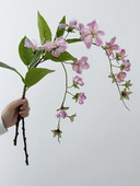 Jázmin mesterséges függő virágok dekoratív erkély művészet mesterséges selyem virágok, mint a valódi függő dekoráció esküvőre