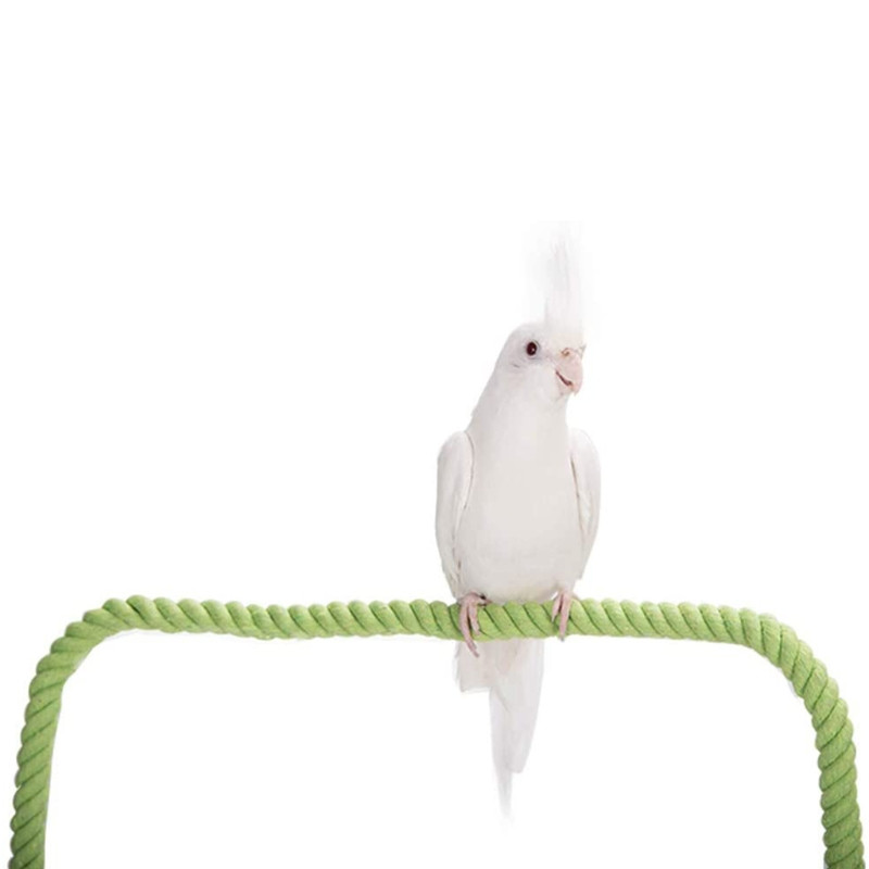 Putnu virves asari būris, rotaļlietas kāpšanas rotaļlieta vīteņpapagailei, žubītei, mazai papagaiļai, divu izmēru kokvilnas virvei mājdzīvnieka dāvana
