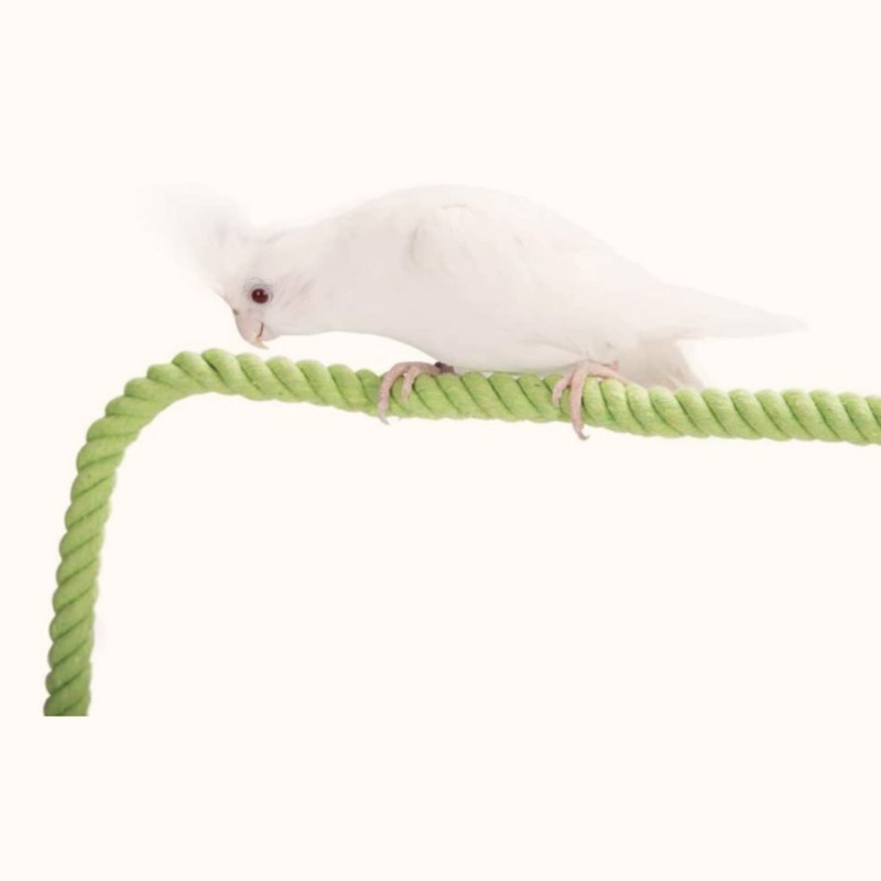 Putnu virves asari būris, rotaļlietas kāpšanas rotaļlieta vīteņpapagailei, žubītei, mazai papagaiļai, divu izmēru kokvilnas virvei mājdzīvnieka dāvana