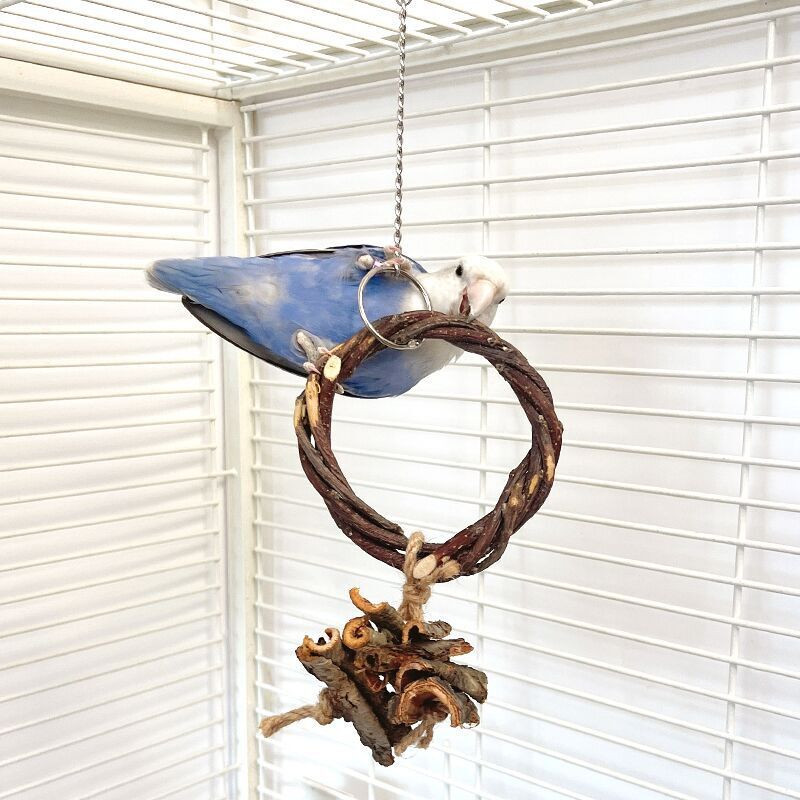 Putnu rotaļlieta Mājdzīvnieks Putns Papagailis Papagailīte Budgie Cockatiel Būris Putnu Rotaļlietas Piekārts Šūpuļtīkls Šūpoles Rotaļlieta Rotangpalmas gredzens Putnu piederumi