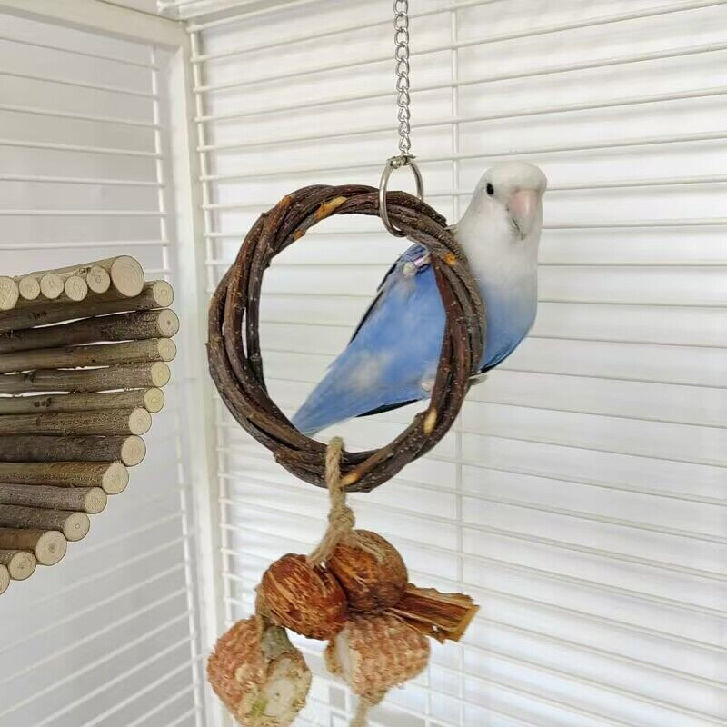 Putnu rotaļlieta Mājdzīvnieks Putns Papagailis Papagailīte Budgie Cockatiel Būris Putnu Rotaļlietas Piekārts Šūpuļtīkls Šūpoles Rotaļlieta Rotangpalmas gredzens Putnu piederumi