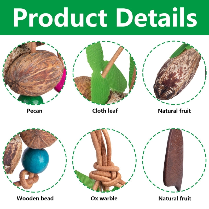 Kisállat madarak rágójáték ketrec játék harapás madártépő növény játék koktélok képzés