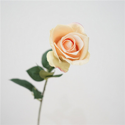 Szimulációs rózsák Valódi érintés Latex hamis virágok Otthoni tanulmányi előadóterem dekoráció fehér virág mesterséges Diana rózsa esküvői dekoráció