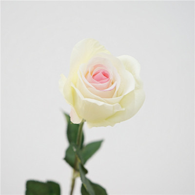 Szimulációs rózsák Valódi érintés Latex hamis virágok Otthoni tanulmányi előadóterem dekoráció fehér virág mesterséges Diana rózsa esküvői dekoráció