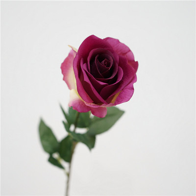 Szimulációs rózsák Valódi érintés Latex hamis virágok Otthoni tanulmányi előadóterem dekoráció fehér virág mesterséges Diana rózsa esküvői dekoráció