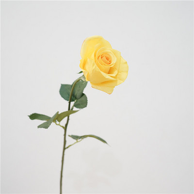 Szimulációs rózsák Valódi érintés Latex hamis virágok Otthoni tanulmányi előadóterem dekoráció fehér virág mesterséges Diana rózsa esküvői dekoráció