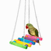 Piekārts papagaiļa būris Rotaļlieta Vāvere Kāmja Vāvere Mode Jaunākā šūpuļtīkls Putnu ligzda Šūpoles kāpnes seski jūrascūciņa rotaļlieta