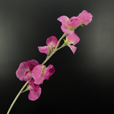 SunMade Ziemeļu zirņu ziedu zars Zīds Mākslīgie Ziedi Kāzu Mājas Noformējums Līgavas Pušķis Flores Artificales Violeta Flore