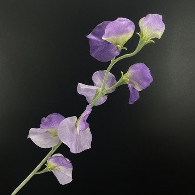 SunMade Ziemeļu zirņu ziedu zars Zīds Mākslīgie Ziedi Kāzu Mājas Noformējums Līgavas Pušķis Flores Artificales Violeta Flore