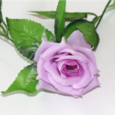 250 CM zīda rozes, vīnogulāju zaļās lapas, vītne mājas kāzu dekorēšanai, viltotu lapu vītne, mākslīgie ziedi.