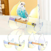 Madársügér Madarak papagáj állvány ketrec tartozék Ginkgo csirke forma színátmenet akril ív kialakítás interaktív állvány képzés Shatte