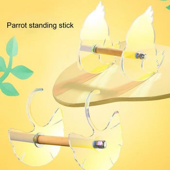 Bird Perch Birds Parrot Stand Κλουβί Αξεσουάρ Ginkgo Chicken Shape Gradient Acrylic Arc Design Διαδραστική βάση εκπαίδευσης Shatte