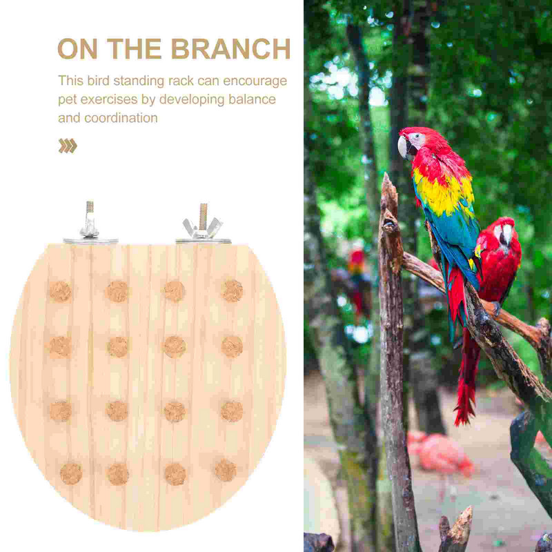 Αξεσουάρ Ξύλινου Κλουβιού Πτηνών Πλατφόρμα άσκησης παπαγάλου Παιχνίδι φυσικής πέρκας Μεγάλη βάση για μάσημα