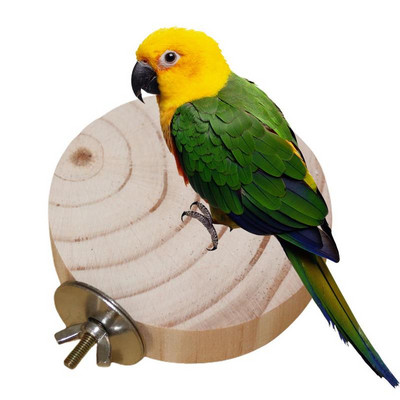 Parrot Perch Platform Wood Parrot Platform Bird Perch Stand Παιχνίδι άσκησης για Canary Parakeet Cockatiel Parrot Budgie Sparrow