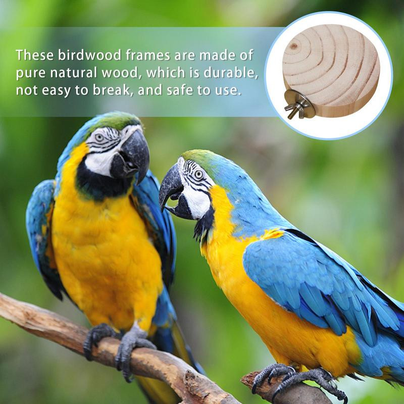 Papagailis asara platforma Koka papagailis platforma putnu asaru statīvs Rotaļlieta vingrošanai Kanāriju salu papagailim Cockatiel Papagailis zvirbulis