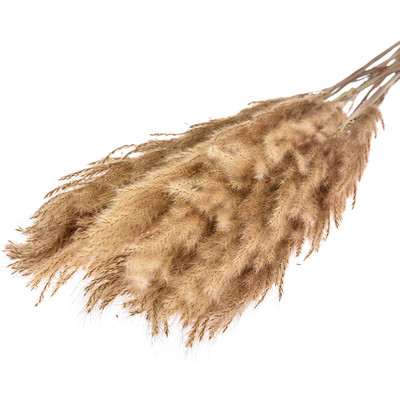 10 vnt Šviesių spalvų vestuvinių gėlių kekė Natūrali džiovinta pampų žolė Phragmites Dirbtiniai augalai namų dekoravimui Vestuvių gėlė Bu