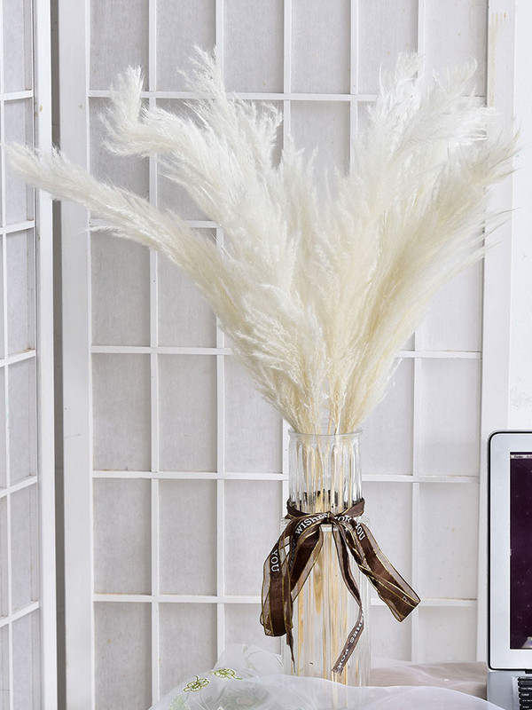 10 gab. Gaišas krāsas kāzu ziedu ķekars Dabīgi kaltēti Pampas zāle Fragmīti Mākslīgie augi Mājas Dekoram Kāzu Ziedu Bu