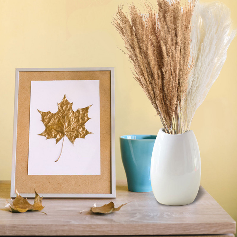 10 gab. Gaišas krāsas kāzu ziedu ķekars Dabīgi kaltēti Pampas zāle Fragmīti Mākslīgie augi Mājas Dekoram Kāzu Ziedu Bu