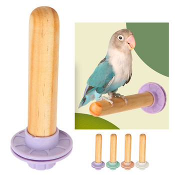 Διακοσμητικό παιχνίδι με βάση παπαγάλου με ξύλινο πουλί για πέρκα πόδι για παπαγάλο μικρό