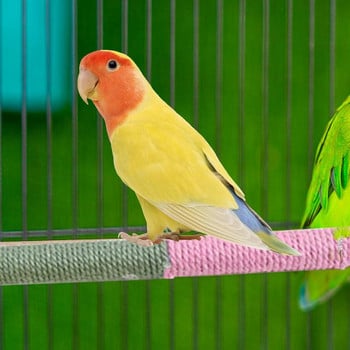 Платформа за птици Костур Lovebird Кацалки Стойка за птици Полюс Аксесоари за папагал Играчки за птици Дървена кацалка за папагали Стойка за птици Полюс Птица