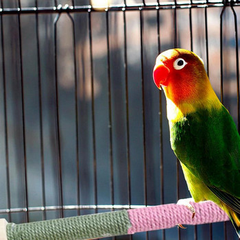 Πλατφόρμα πουλιών Πέρκα Lovebird Πέρνκες Βάση πουλιών Αξεσουάρ Παπαγάλου Πουλιά Παιχνίδια πουλιών Ξύλινο παπαγάλο Πέρκα Πουλί Βάση κοντάρι Πουλί